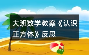 大班數(shù)學(xué)教案《認(rèn)識正方體》反思