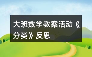 大班數(shù)學教案活動《分類》反思