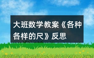 大班數(shù)學(xué)教案《各種各樣的尺》反思