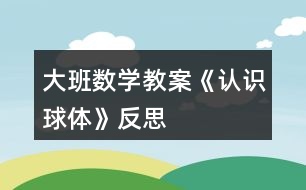 大班數(shù)學(xué)教案《認(rèn)識(shí)球體》反思