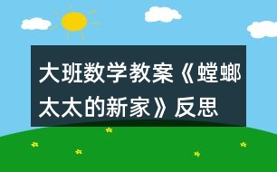 大班數(shù)學(xué)教案《螳螂太太的新家》反思