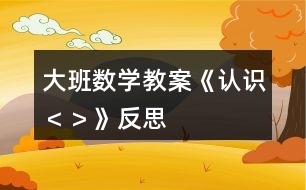 大班數(shù)學(xué)教案《認識“＜”、“＞”》反思