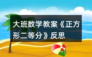 大班數(shù)學(xué)教案《正方形二等分》反思