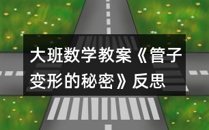 大班數(shù)學教案《管子變形的秘密》反思