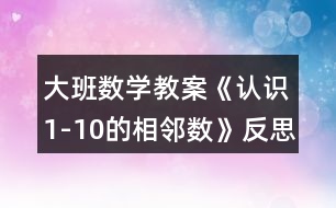 大班數(shù)學教案《認識1-10的相鄰數(shù)》反思