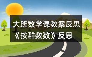 大班數學課教案反思《按群數數》反思