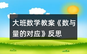 大班數(shù)學(xué)教案《數(shù)與量的對(duì)應(yīng)》反思