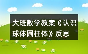 大班數(shù)學(xué)教案《認(rèn)識(shí)球體、圓柱體》反思