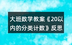 大班數(shù)學教案《20以內(nèi)的分類計數(shù)》反思