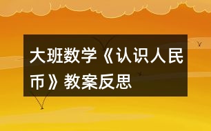 大班數(shù)學《認識人民幣》教案反思