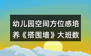 幼兒園空間方位感培養(yǎng)《搭圍墻》大班數(shù)學(xué)教案