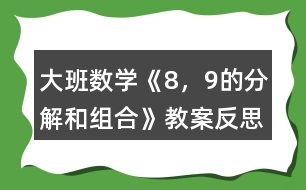 大班數(shù)學《8，9的分解和組合》教案反思