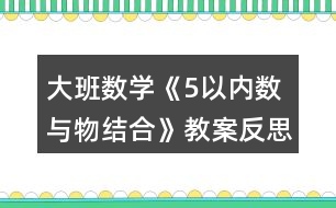 大班數(shù)學《5以內(nèi)數(shù)與物結合》教案反思