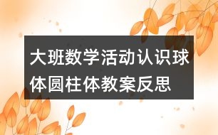 大班數(shù)學(xué)活動認(rèn)識球體圓柱體教案反思