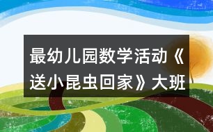 最幼兒園數(shù)學(xué)活動(dòng)《送小昆蟲(chóng)回家》大班教案反思