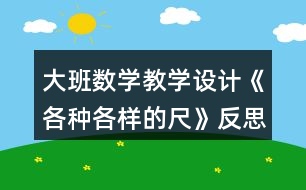 大班數學教學設計《各種各樣的尺》反思