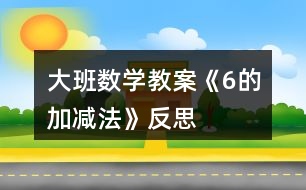 大班數(shù)學(xué)教案《6的加減法》反思