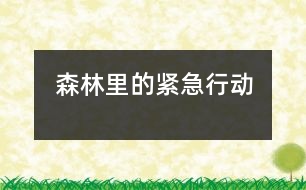 森林里的緊急行動