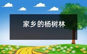 家鄉(xiāng)的楊樹林