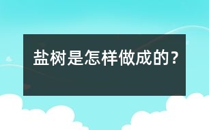 鹽樹是怎樣做成的？