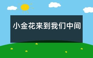 小金花來(lái)到我們中間