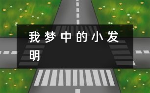 我 夢(mèng) 中 的 小 發(fā) 明