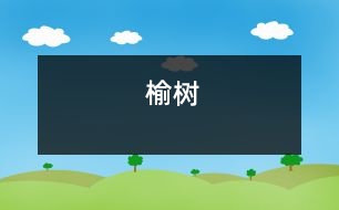 榆樹