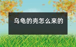 烏龜?shù)臍ぴ趺磥淼?></p>										
													 烏龜?shù)臍ぴ趺磥淼?/p>           江蘇省南京 力學(xué)小學(xué)一（四）班 李盛楠</p>          </p>                  從前，地球上只有一只烏龜，它沒有殼。<br>    有一天，它遇見了一只老虎，老虎想吃掉烏龜，烏龜?shù)纛^就跑，可是已經(jīng)晚了。老虎追上來剛要抓住它，烏龜急忙躲進(jìn)一個殼里，老虎抓住那個殼，咬也咬不動，老虎只能垂頭喪氣地走了?？墒?，烏龜想出來也出不來了，過了很久，烏龜?shù)臍ぷ冃瘟?。后來，它生的孩子也成這模樣了。<br>    從此以后，烏龜有了一個保護(hù)殼。						</div>
						</div>
					</div>
					<div   id=