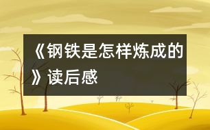 《鋼鐵是怎樣煉成的》讀后感