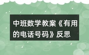 中班數(shù)學(xué)教案《有用的電話號(hào)碼》反思