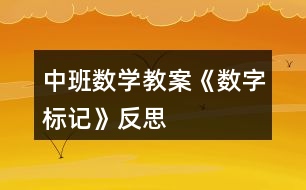 中班數(shù)學(xué)教案《數(shù)字標記》反思