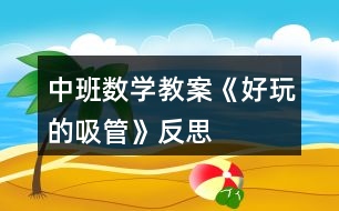 中班數(shù)學(xué)教案《好玩的吸管》反思