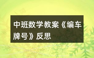 中班數(shù)學(xué)教案《編車牌號》反思