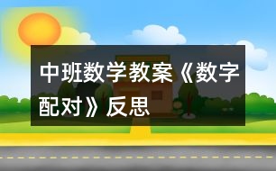 中班數(shù)學教案《數(shù)字配對》反思