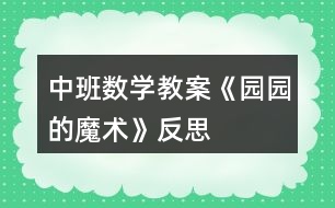 中班數(shù)學教案《園園的魔術(shù)》反思