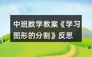 中班數(shù)學(xué)教案《學(xué)習(xí)圖形的分割》反思