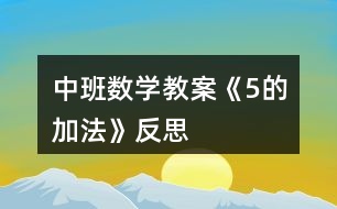 中班數(shù)學教案《5的加法》反思