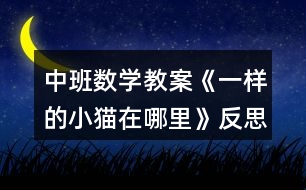 中班數(shù)學教案《一樣的小貓在哪里》反思