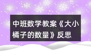 中班數(shù)學教案《大小橘子的數(shù)量》反思