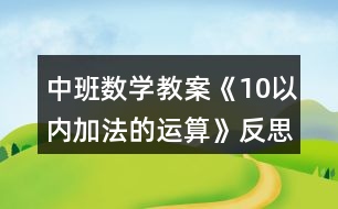 中班數學教案《10以內加法的運算》反思