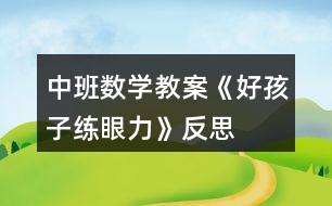 中班數(shù)學(xué)教案《好孩子練眼力》反思