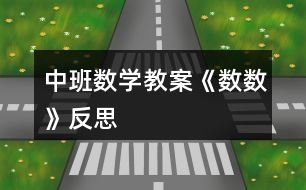 中班數(shù)學教案《數(shù)數(shù)》反思