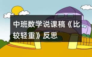 中班數(shù)學(xué)說課稿《比較輕重》反思