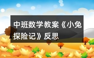 中班數(shù)學教案《小兔探險記》反思