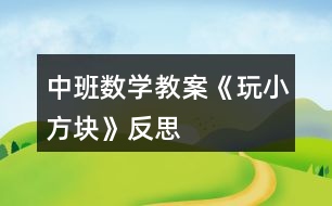 中班數(shù)學(xué)教案《玩小方塊》反思