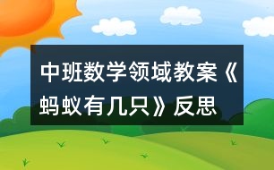 中班數(shù)學(xué)領(lǐng)域教案《螞蟻有幾只》反思