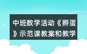 中班數(shù)學(xué)活動《孵蛋》示范課教案和教學(xué)反思