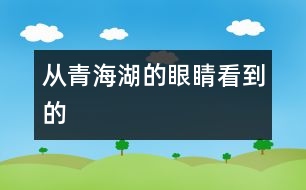 從青海湖的“眼睛”看到的