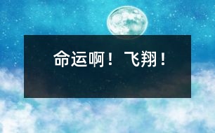 命運(yùn)?。★w翔！