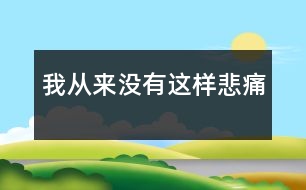 我從來(lái)沒(méi)有這樣悲痛